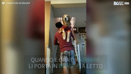 Cani in pigiama pronti per andare a dormire