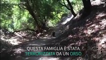 Orso spaventa a morte una famiglia durante una passeggiata