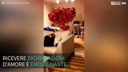 Cane trasporta decine di palloncini a forma di cuore