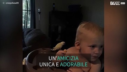 Neonato e pappagallo condividono il pranzo!