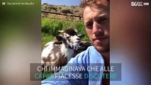 Una divertente discussione tra uomo e capretta