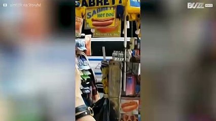 Migliaia di api invadono Times Square, New York