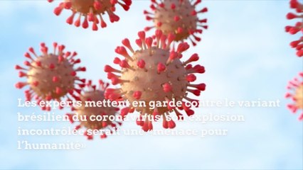 Les experts mettent en garde contre le variant brésilien du coronavirus
