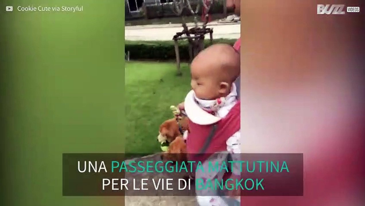 Bimbo va a spasso con le due sorelle pelose
