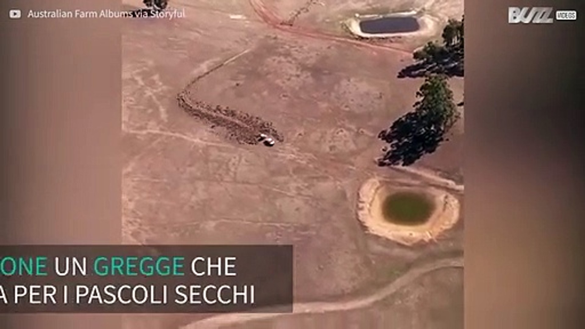 Drone filma i pascoli devastati dalla siccità