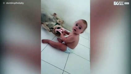 Download Video: La lotta tra un bimbo e il suo cane