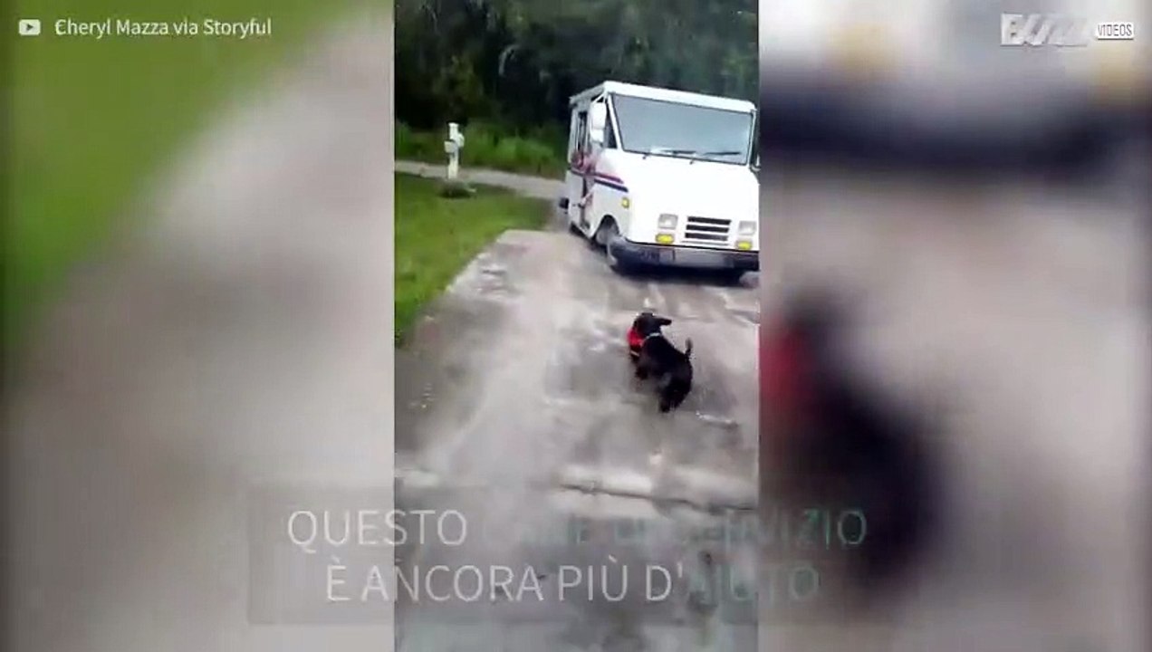 Cane va a ritirare la posta per la prima volta