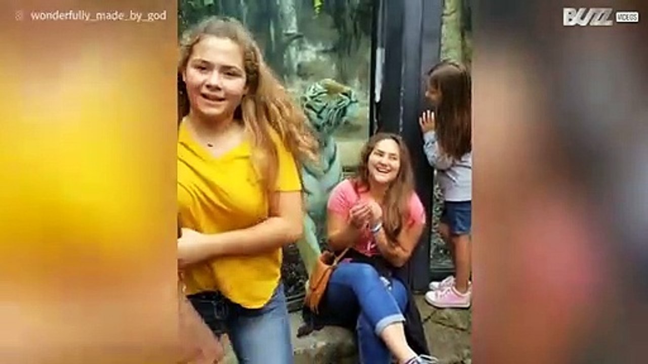 Tigre gioca con dei bambini allo zoo