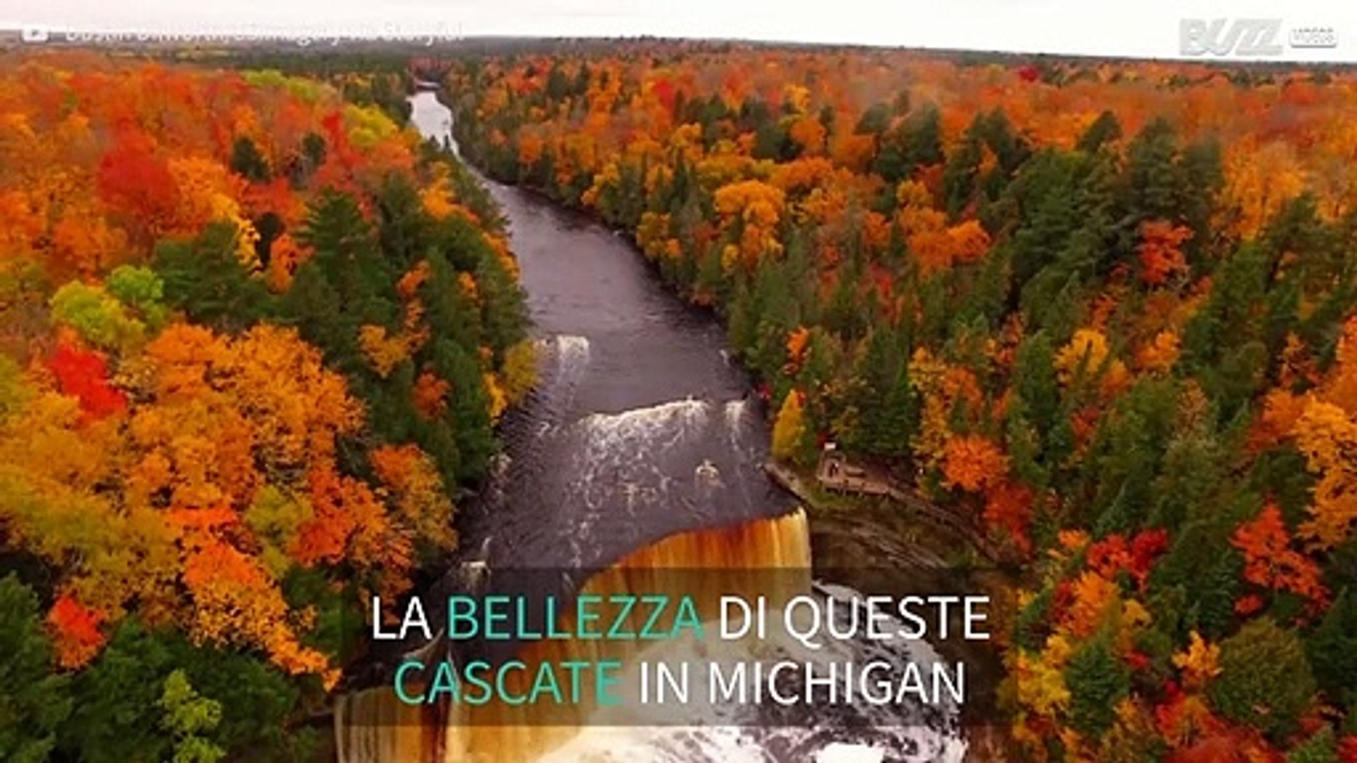 Drone filma lo splendido paesaggio autunnale del Michigan
