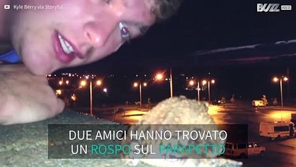 Salvano un rospo che vuole saltare dal parapetto