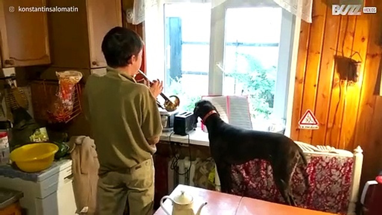 Bimbo suona la tromba, cagnolino lo accompagna ululando