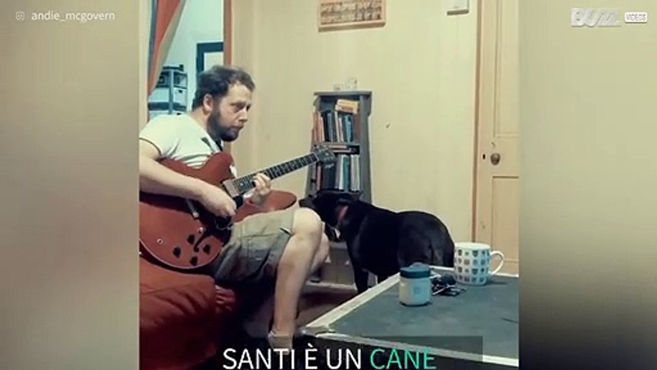 Il cane che vuole diventare un cantante!