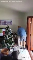 ثعبان في شجرة الكريسماس