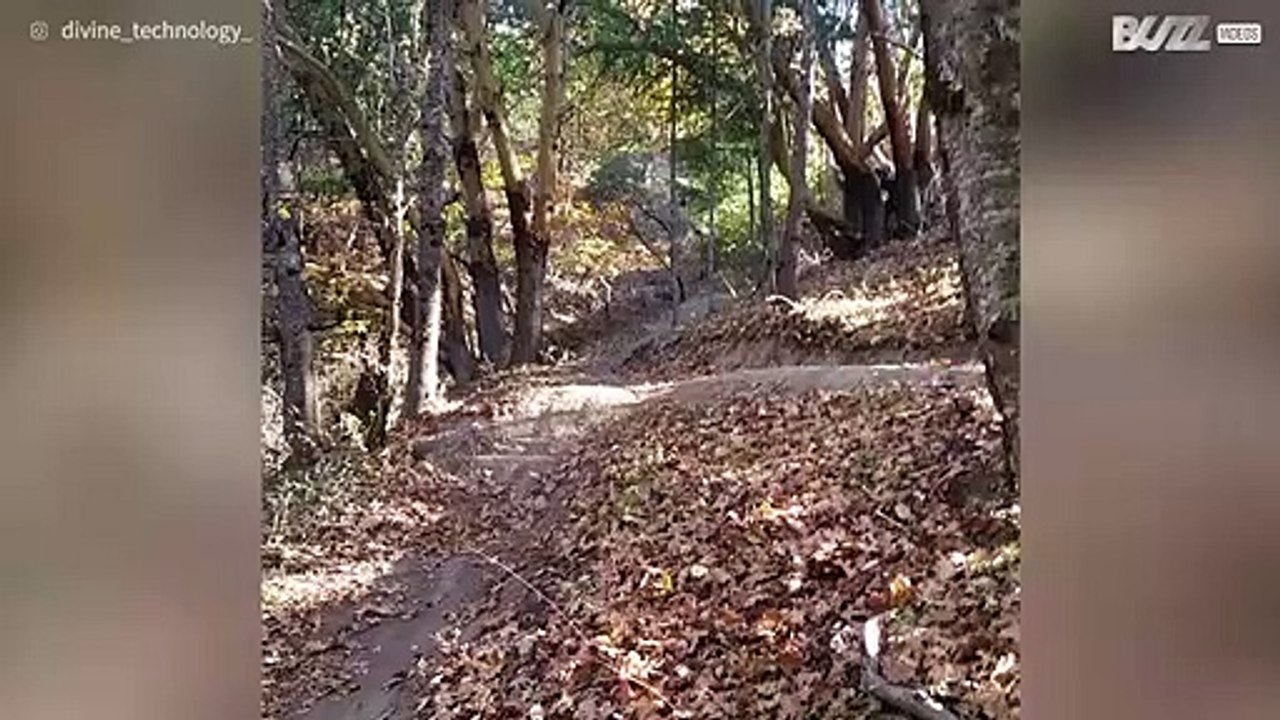 Vuole fare lo spavaldo con la bici, ma cade davanti alla telecamera