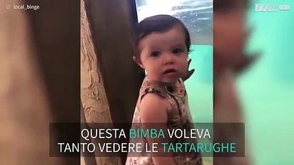 L'amicizia tra una tartaruga marina e una bimba