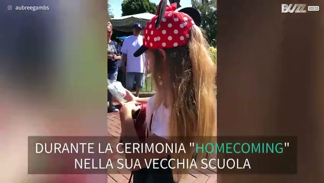 Una proposta speciale a Disneyland!