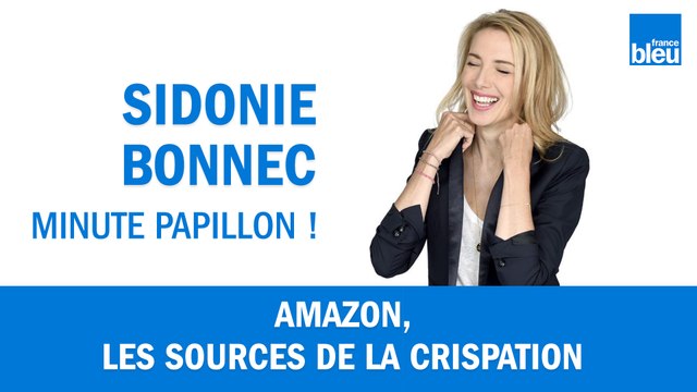 Amazon, les sources de la crispation