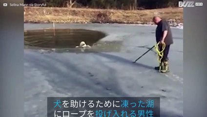凍った湖から逃れるためにロープに噛みつく賢いワンちゃん