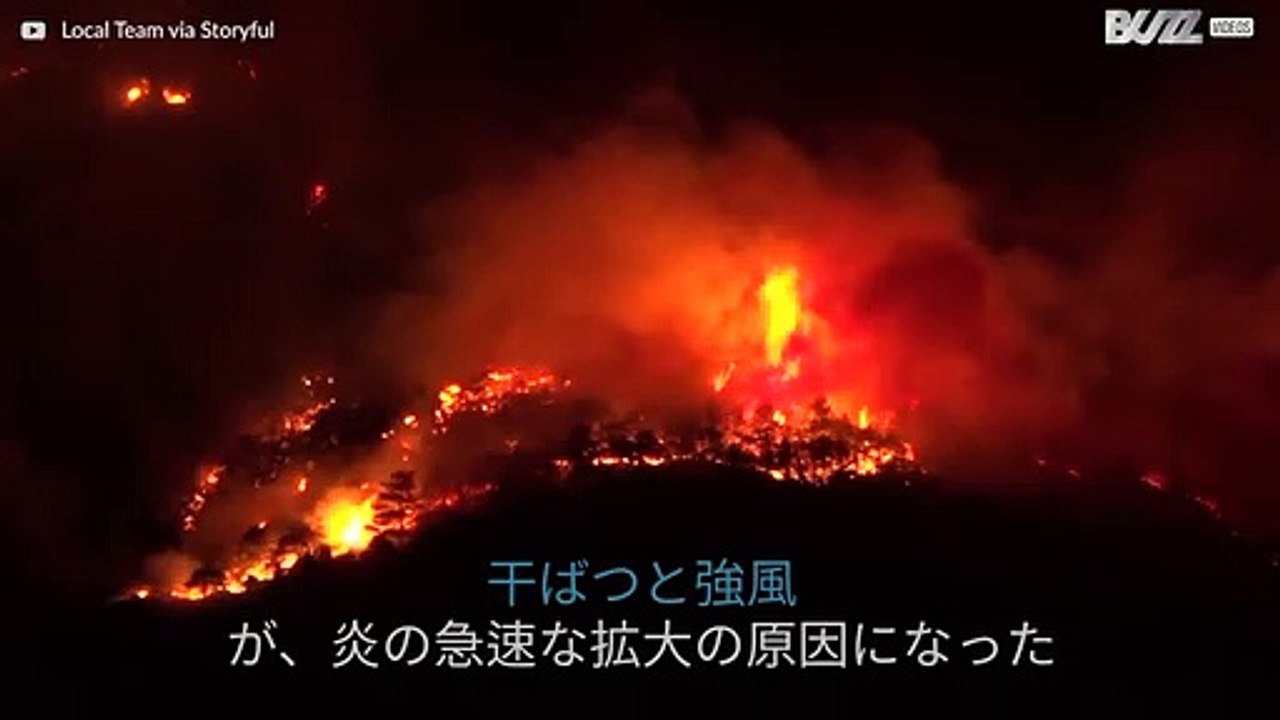 イタリアにおいて炎が森林を引き裂く