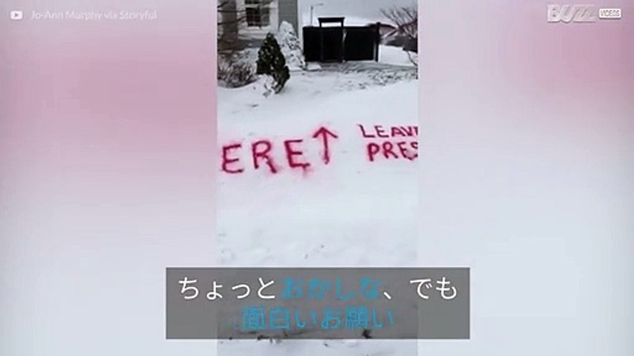 女の子はサンタにプレゼントを置いて、代わりに弟を持って行ってほしいとお願いしました