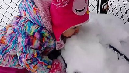 ネット上のクリスマス映像の傑作集