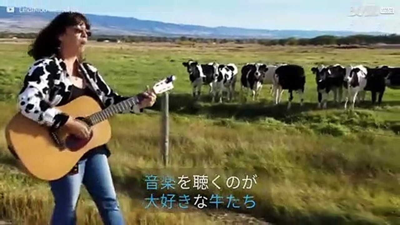 歌で牛の群れを率いる女性