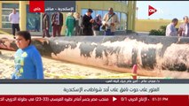 تفاصيل العثور على حوت نافق على أحد شواطئ الإسكندرية - د. مجدي علام