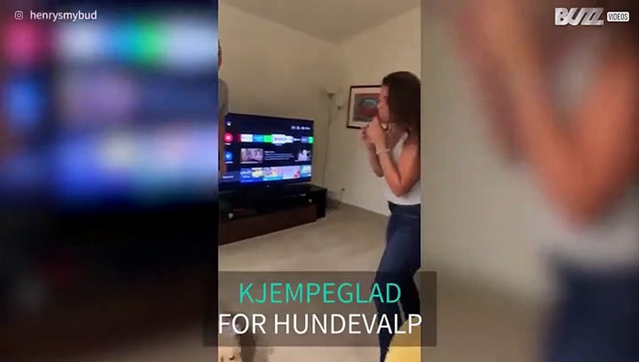 Overrasket med hundevalp!