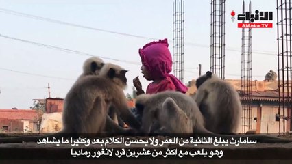 صداقة مميزة مع القرود