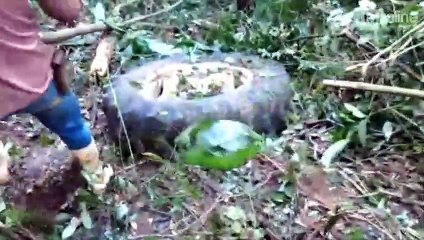 Trator desce ribanceira e para em riacho em Rosário do Ivaí