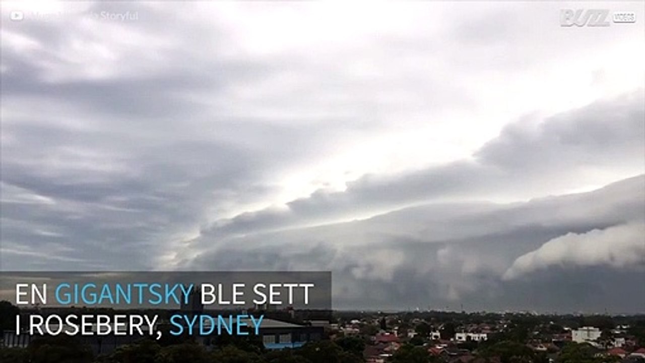 Mystisk gigantsky sett i Sydney