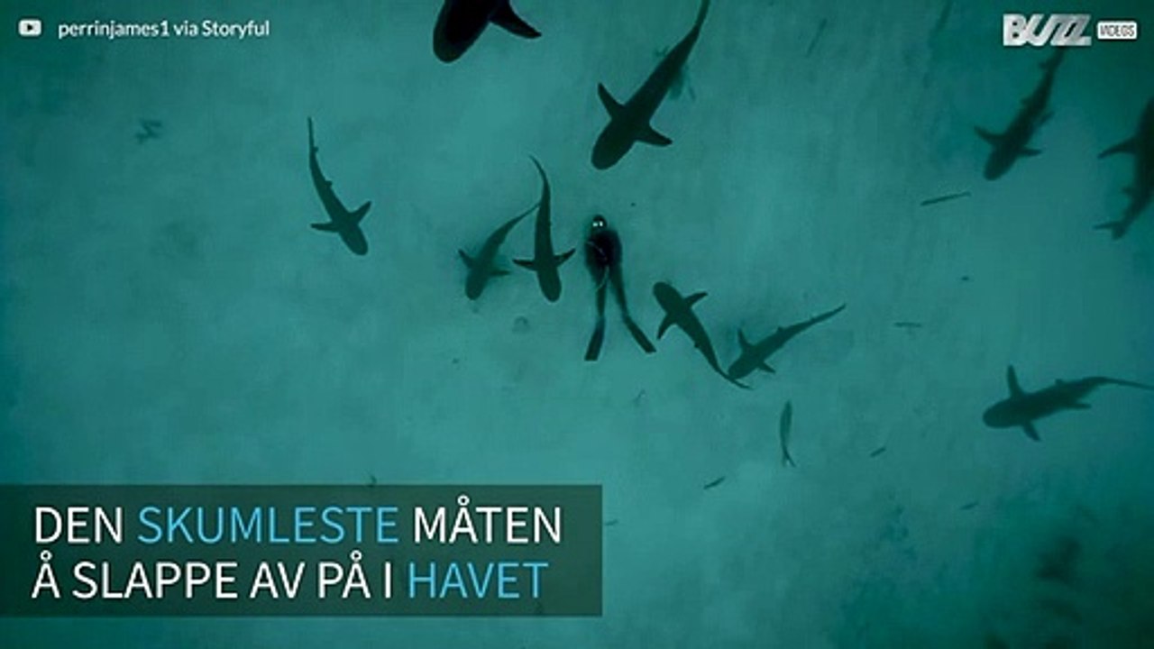 Dykker ligger på havbunnen omgitt av haier