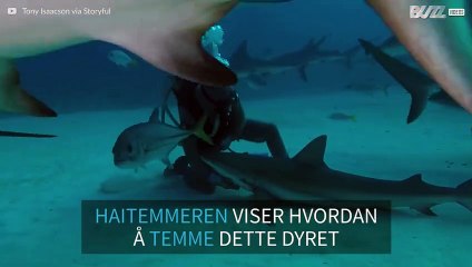 Haitemmer viser sin hypnoseteknikk