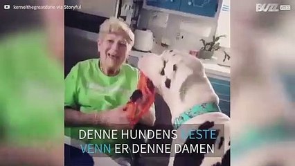 Denne 90-årige kvinnens beste venn er en stor hund