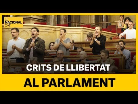 Crits de llibertat al Parlament després de la intervenció de Sergi Sabrià ERC
