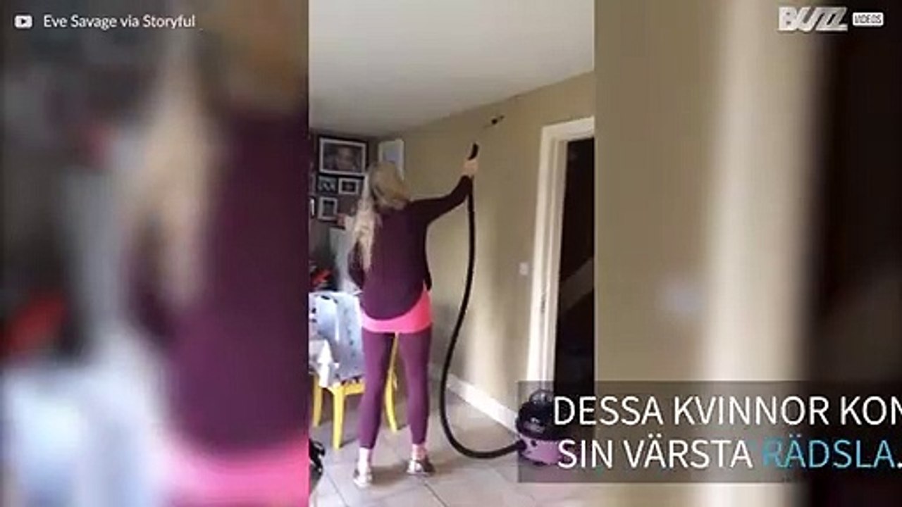 Knasigt sätt att göra sig av med en spindel