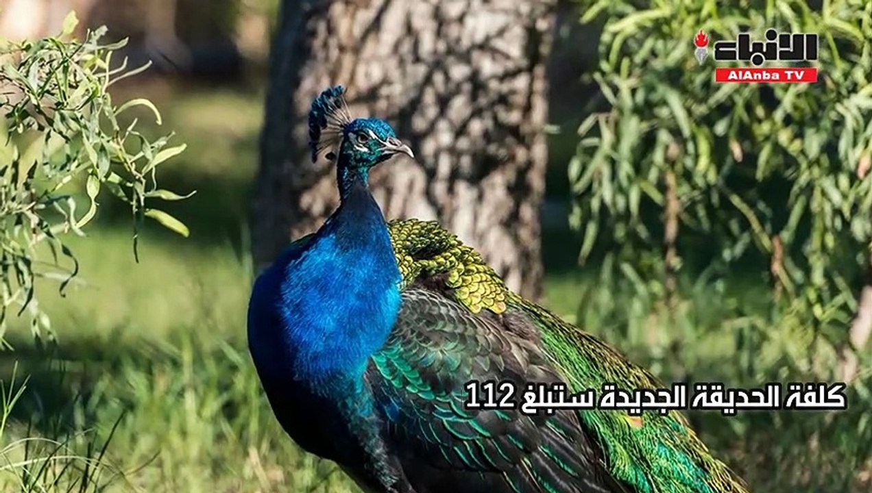 حديقة الحيوان الكبري.. مشروع سياحي واعد يستقطب...