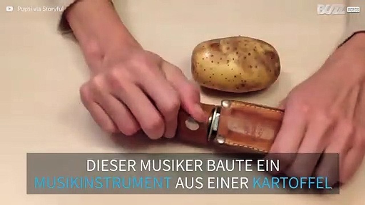 Schon mal gesehen wie jeamdn 'Sandstorm' von Darude auf einer Kartoffel spielt?!