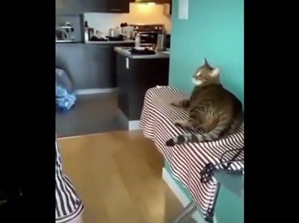 memes compilation #2