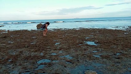 lowtide pa eh