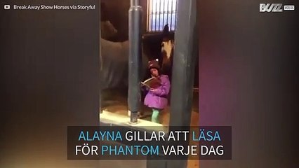 Gullig flicka läser en saga för en häst varje dag