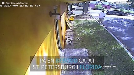 Flygplan kör på två bilar efter nödlandning i Florida