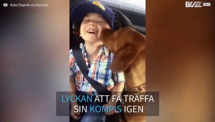 Den här hunden är verkligen glad att träffa "lillhusse"