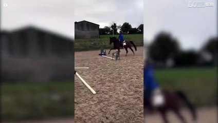 Även ett litet hinder är för mycket för den här hästen!