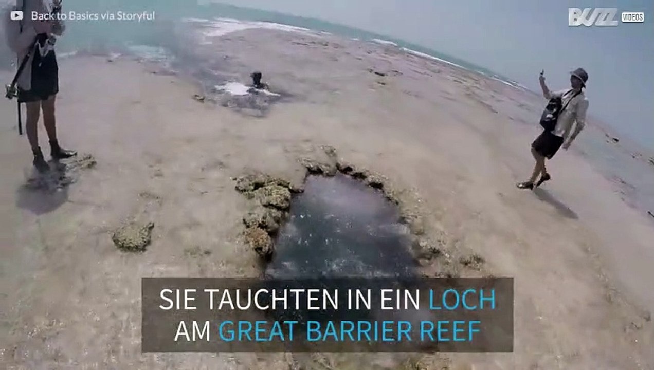 Ein Tauchtrip führt in eine atemberaubend schöne Korallenhöhle