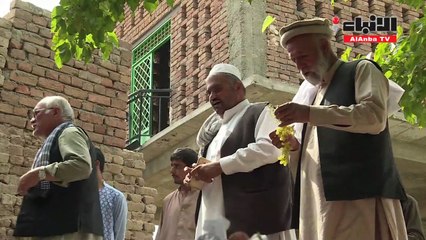 زبيب أفغانستان يسعى إلى العالمية