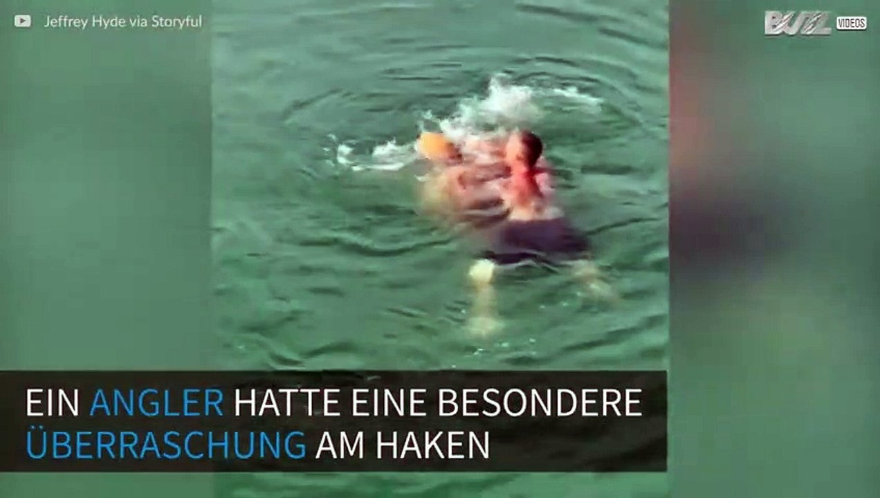 Riesige Meeresschildkröte von Angelhaken gerettet