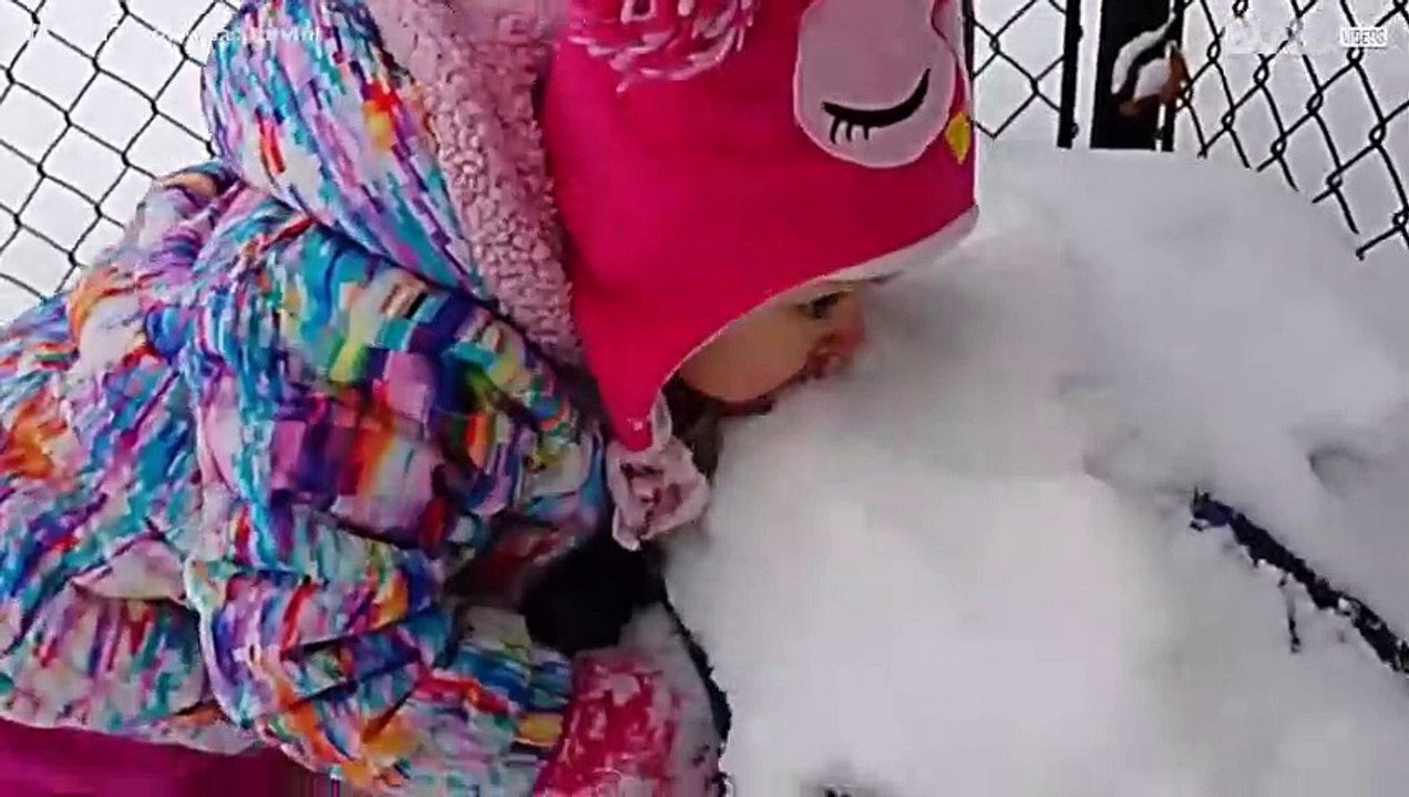 Die besten Weihnachtsvideos im Internet