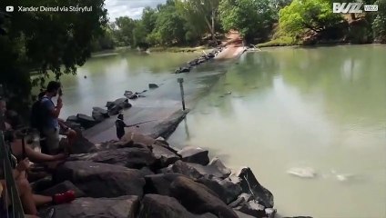 Episk strid mellan krokodil och fiskare i en australiensisk flod
