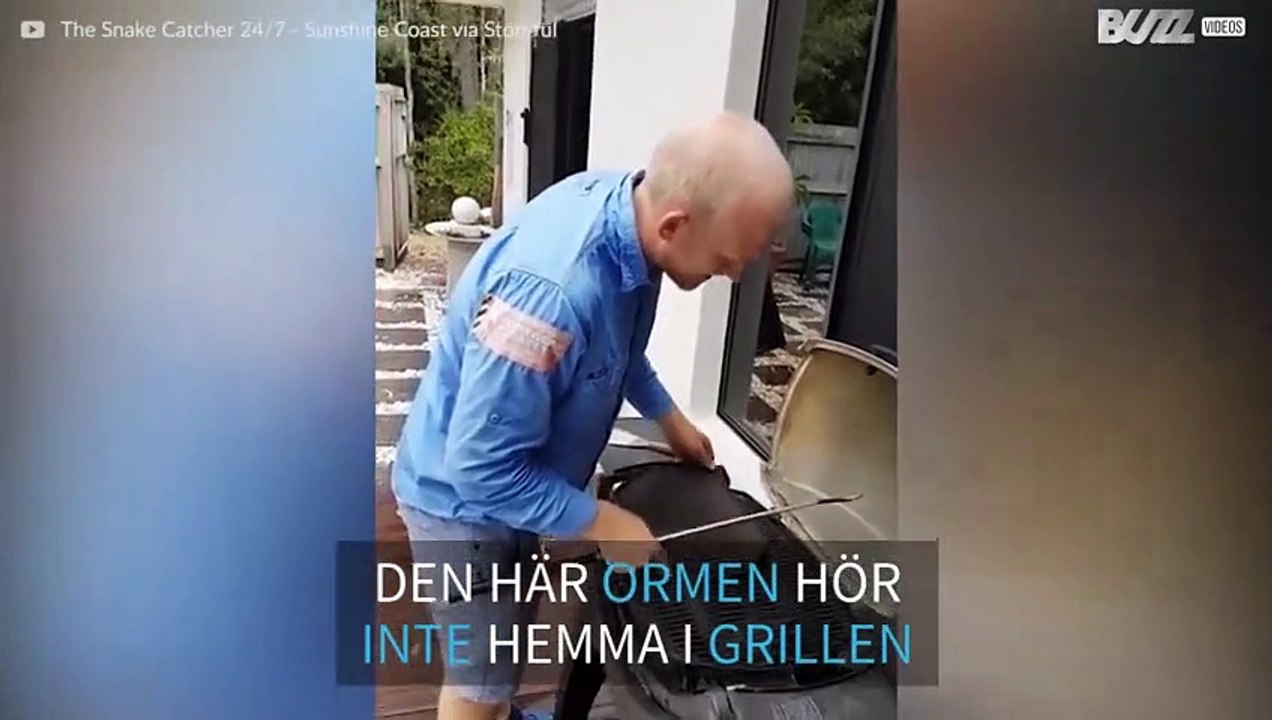 Familj hittar en gigantisk pytonorm i grillen